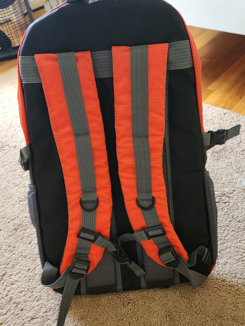 Dunkin Limited Edition orange Backpack Lightweight Collectible + Sunglasses! New - Picture 3 of 10